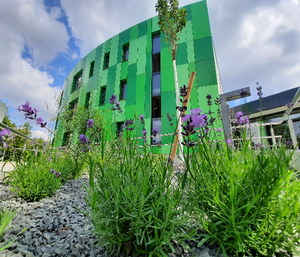 AWO Psychiatriezentrum Halle GmbH